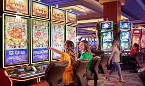 264 bet